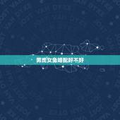男虎女兔婚配好不好，虎男兔女在一起财运