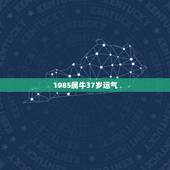 1985属牛37岁运气，本命年的大忌85属牛