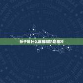 孙子属什么属相和奶奶相冲，奶奶属相是小龙孙子媳妇也是小龙有什么说法？