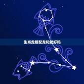 生肖龙婚配龙和蛇好吗，在生肖中，龙和蛇是绝配吗？
