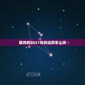 属鸡的2021年的运势怎么样，93年属鸡的2021年运势怎么样