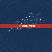 十二星座配对夫妻，十二星座大配对