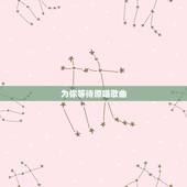 为你等待原唱歌曲，求歌词：歌曲为你等待