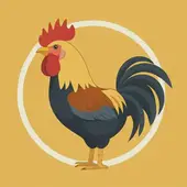 2025属鸡的全年运势怎么样：运势化解压力方法