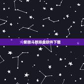 紫微斗数排盘软件下载，紫微斗数排盘软件
