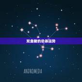 双鱼猪的总体运势，双鱼座2010总体运势