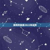 属狗双鱼座2022年运势，属狗人2022年每月运势？