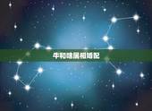 牛和啥属相婚配，属牛的和什么属相最配