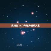 属相狗2021年运势视频大全，2021属狗人全年运势1982每月运势