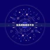 生肖虎和龙合不合，生肖属虎和龙的人？
