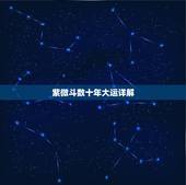 紫微斗数十年大运详解，张盛舒免费测十年大运