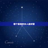 哪个属相的女人最好娶，属狗的娶什么属相的女人作为妻子最合适