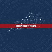 属鼠的跟什么合得来，跟老鼠最配的生肖