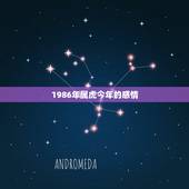 1986年属虎今年的感情，1986年6月29号出生属虎今年运程