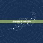 辛酉日柱2022年运势，请易经大师看看这个八字乙丑年，己丑月，辛酉日，