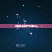 猪年和羊年的能婚配吗，生肖属马的与什么属相相冲？