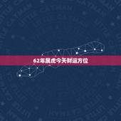 62年属虎今天财运方位，62年属虎2022 年幸运方向