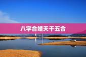 八字合婚天干五合，八字合婚 急~~~~