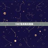 1987生肖兔女属相，87年女兔的和什么属相相配