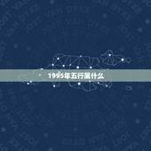 1995年五行属什么，1995年属猪的在五行中属什么？