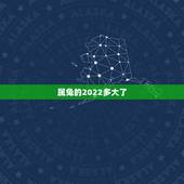 属兔的2022多大了，2022 年属兔人的全年运势