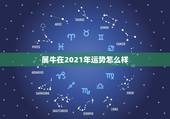 属牛在2021年运势怎么样，2021年属牛运势好不好？