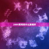 2005男鸡找什么属相好，2005年属鸡的男孩找什么属相的干爹干妈