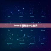 1999年属相是什么生肖，1999年，是属什么生肖年