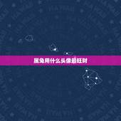属兔用什么头像最旺财，属兔的女士用什么颜色的钱包最聚财