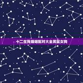 十二生肖婚姻配对大全男鼠女狗，生肖配对属相婚配表十二属相配对吉凶表