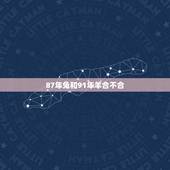 87年兔和91年羊合不合，1987男兔1991女羊配吗