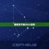 属蛇双子座2022运势，属蛇双子座2022 年运势