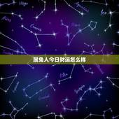 属兔人今日财运怎么样，今天属兔的人偏财运怎么样