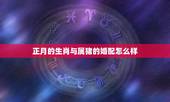 正月的生肖与属猪的婚配怎么样，属猪和属猪相配吗