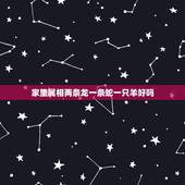 家里属相两条龙一条蛇一只羊好吗，家里一羊一蛇一龙一猴好吗一家两个猴好吗