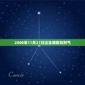 2000年11月21日出生婚配和财气，2000年属龙女孩农历11月21