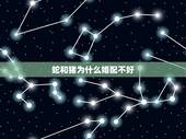 蛇和猪为什么婚配不好，属猪和属蛇婚配好不好？