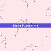 属狗今年多大岁数2022年，属羊的今年多大