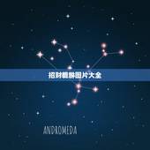 招财貔貅图片大全，貔貅是什么意思图片大全