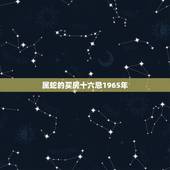 属蛇的买房十六忌1965年，中国买房风水16大禁忌