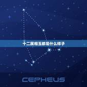 十二属相玉都是什么样孑，十二生肖配对的玉石是什么？