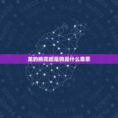 龙的桃花劫是狗是什么意思，男人的桃花运是什么情况