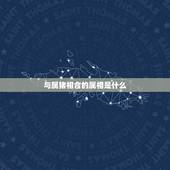 与属猪相合的属相是什么，和猪相配的属相是什么