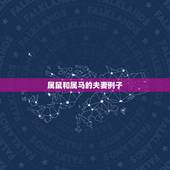 属鼠和属马的夫妻例子，84年属鼠姻缘和属马