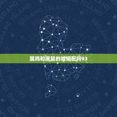 属鸡和属鼠的婚姻配吗93，属鸡男和属鼠女的婚姻配吗