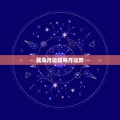 属兔月运程每月运势，1963年属兔男2022年每月运程