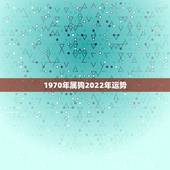1970年属狗2022年运势，70年生肖狗在2022年每月运程