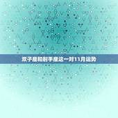 双子座和射手座这一对11月运势，双子座十一月运气