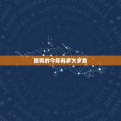 属狗的今年有多大岁数，2022 年属狗的多大岁数