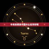 牛年的男孩子取什么名字好呢，牛年的男孩子 起个什么好名字